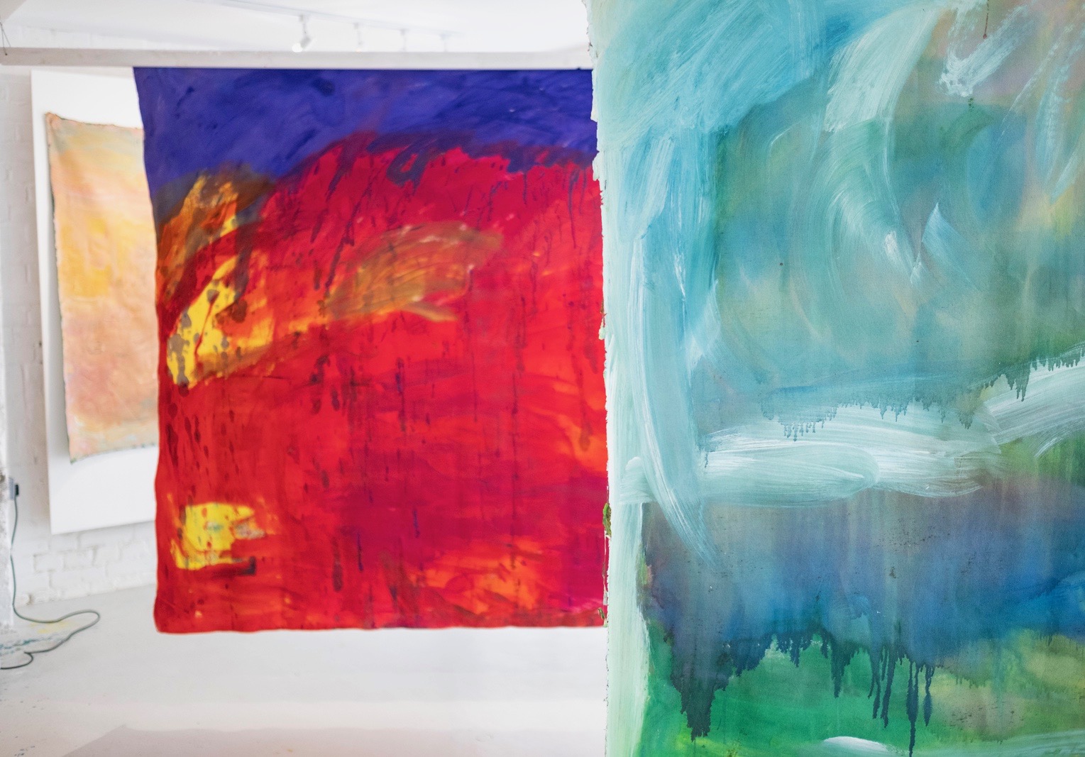 Paintings by Janet Holland. Photo courtesy of Gavan Goulder